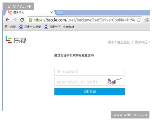 华宇娱乐网页版登录账号密码忘记怎么办?找回账号的详细指南 华宇娱乐网页版登录账号密码忘记怎么办?找回账号的详细指南
